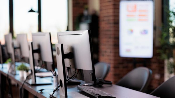 Protégez vos câbles : comment éviter les dégâts causés par les rongeurs dans votre bureau high-tech